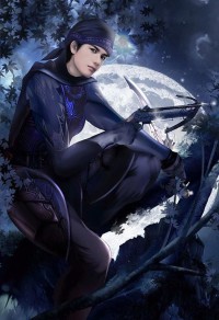 魔女拾夫记：凤舞天下